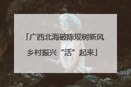 广西北海破陈规树新风 乡村振兴“活”起来