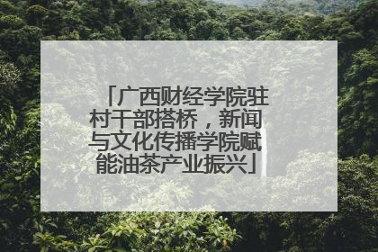 广西财经学院驻村干部搭桥，新闻与文化传播学院赋能油茶产业振兴