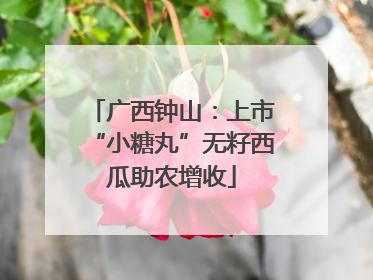 广西钟山：上市“小糖丸”无籽西瓜助农增收