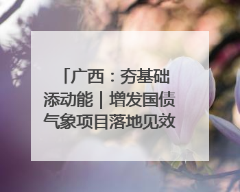 广西：夯基础 添动能｜增发国债气象项目落地见效系列报道