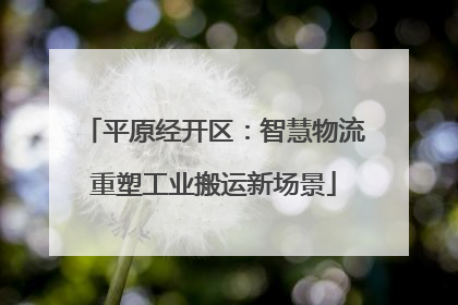 平原经开区：智慧物流重塑工业搬运新场景