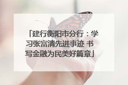 建行衡阳市分行：学习张富清先进事迹 书写金融为民美好篇章