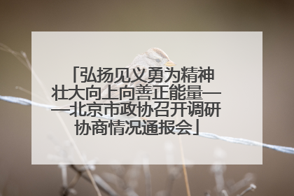 弘扬见义勇为精神 壮大向上向善正能量——北京市政协召开调研协商情况通报会