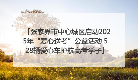 张家界市中心城区启动2025年“爱心送考”公益活动 528辆爱心车护航高考学子