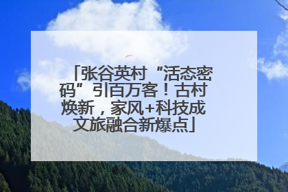 张谷英村“活态密码”引百万客！古村焕新，家风+科技成文旅融合新爆点