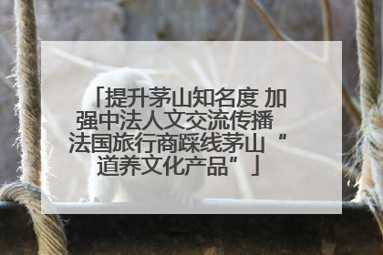 提升茅山知名度 加强中法人文交流传播 法国旅行商踩线茅山“道养文化产品”