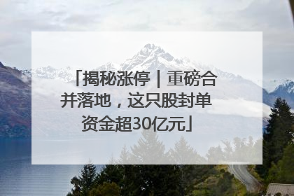 揭秘涨停｜重磅合并落地，这只股封单资金超30亿元