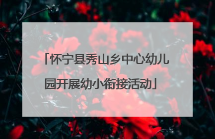 怀宁县秀山乡中心幼儿园开展幼小衔接活动