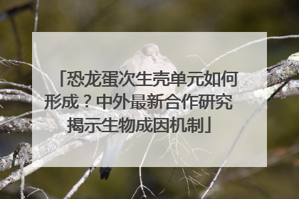 恐龙蛋次生壳单元如何形成？中外最新合作研究揭示生物成因机制