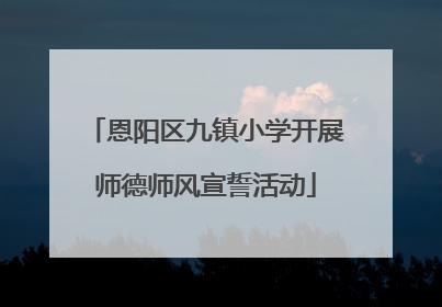 恩阳区九镇小学开展师德师风宣誓活动