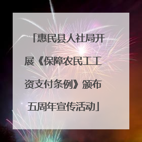 惠民县人社局开展《保障农民工工资支付条例》颁布五周年宣传活动
