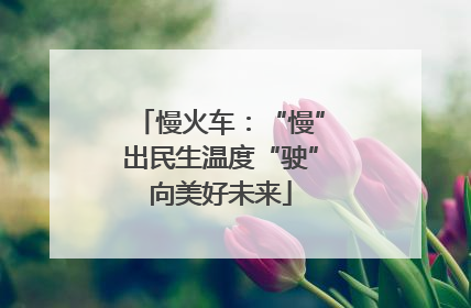 慢火车：“慢”出民生温度“驶”向美好未来