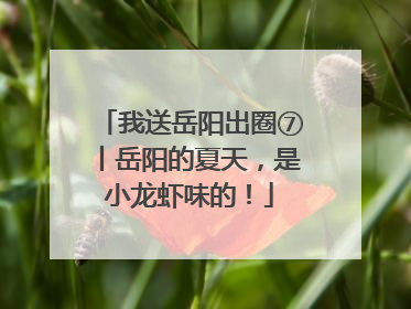 我送岳阳出圈⑦丨岳阳的夏天，是小龙虾味的！