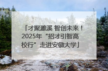 才聚濉溪 智创未来！2025年“招才引智高校行”走进安徽大学