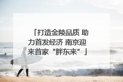 打造金陵品质 助力首发经济 南京迎来首家“胖东来”