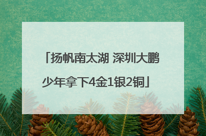 扬帆南太湖 深圳大鹏少年拿下4金1银2铜