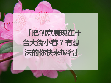 把创意展现在丰台大街小巷？有想法的你快来报名