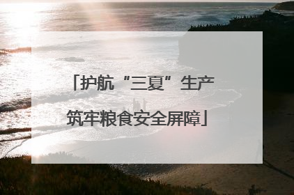 护航“三夏”生产 筑牢粮食安全屏障