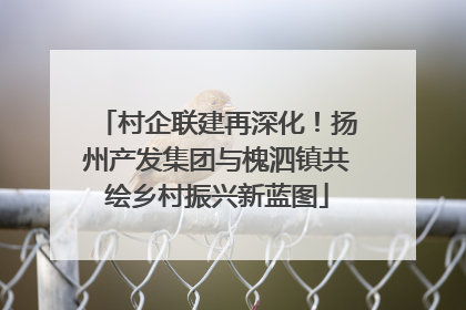 村企联建再深化！扬州产发集团与槐泗镇共绘乡村振兴新蓝图