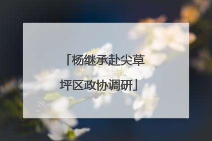 杨继承赴尖草坪区政协调研