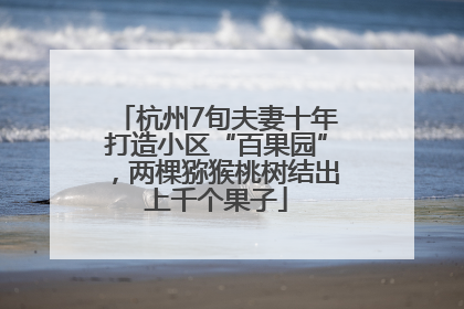 杭州7旬夫妻十年打造小区“百果园”，两棵猕猴桃树结出上千个果子