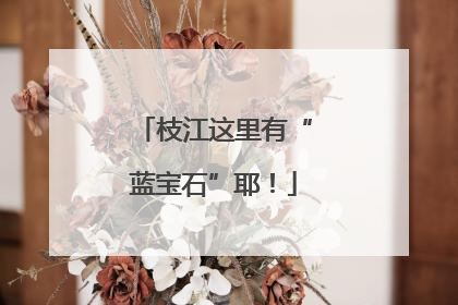 枝江这里有“蓝宝石”耶！