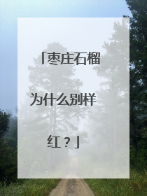 枣庄石榴为什么别样红？