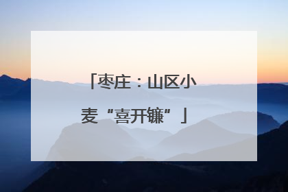 枣庄：山区小麦“喜开镰”