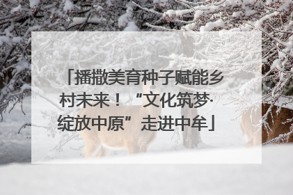 播撒美育种子赋能乡村未来！“文化筑梦·绽放中原”走进中牟