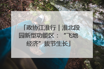 政协江淮行｜淮北段园新型功能区：“飞地经济”拔节生长