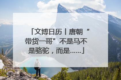 文博日历丨唐朝“带货一哥”不是马不是骆驼，而是……