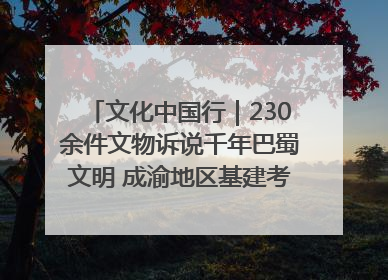 文化中国行｜230余件文物诉说千年巴蜀文明 成渝地区基建考古成果展开展