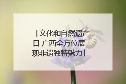 文化和自然遗产日 广西全方位展现非遗独特魅力