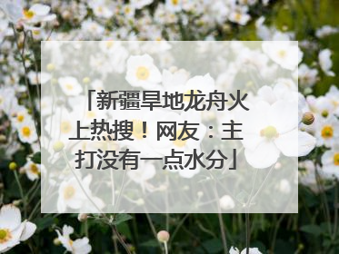 新疆旱地龙舟火上热搜！网友：主打没有一点水分