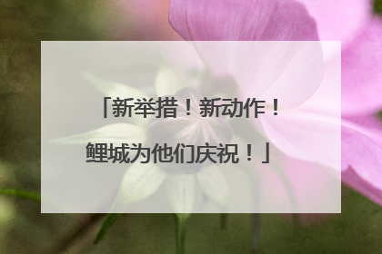 新举措！新动作！鲤城为他们庆祝！