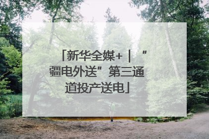 新华全媒+｜“疆电外送”第三通道投产送电