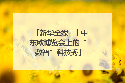 新华全媒+丨中东欧博览会上的“数智”科技秀