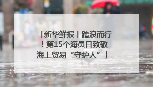 新华鲜报丨踏浪而行！第15个海员日致敬海上贸易“守护人”