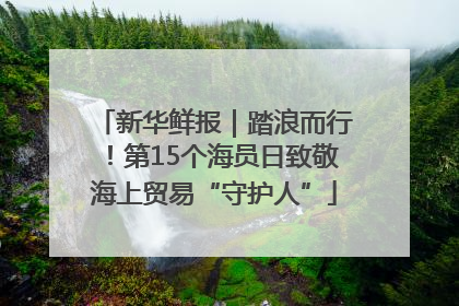 新华鲜报｜踏浪而行！第15个海员日致敬海上贸易“守护人”