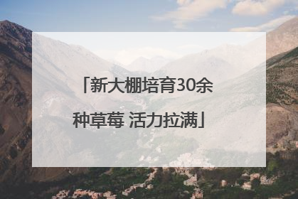 新大棚培育30余种草莓 活力拉满