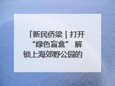 新民侨梁｜打开“绿色盲盒” 解锁上海郊野公园的N种玩法