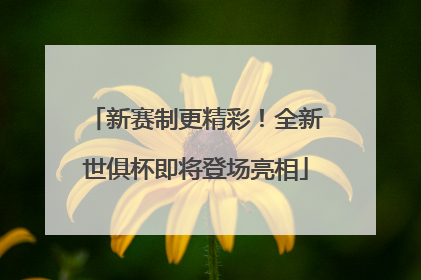 新赛制更精彩！全新世俱杯即将登场亮相