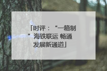 时评：“一箱制”海铁联运 畅通发展新通道
