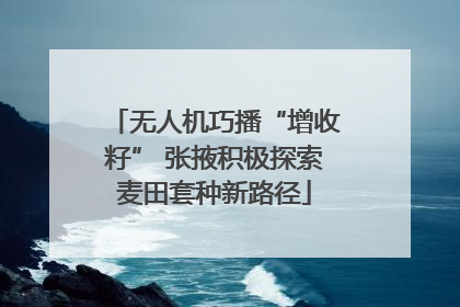 无人机巧播“增收籽” 张掖积极探索麦田套种新路径
