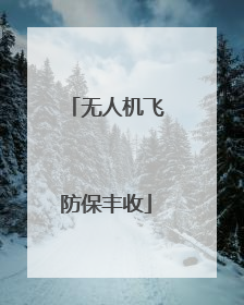 无人机飞防保丰收