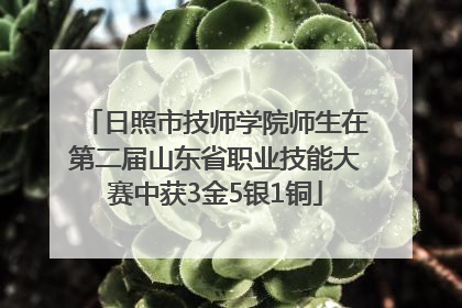 日照市技师学院师生在第二届山东省职业技能大赛中获3金5银1铜