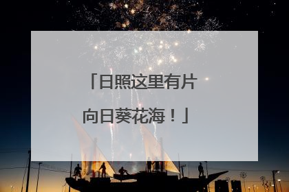 日照这里有片向日葵花海！