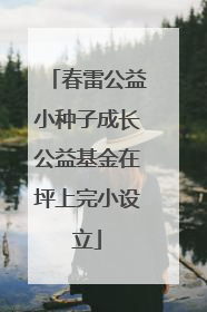 春雷公益小种子成长公益基金在坪上完小设立