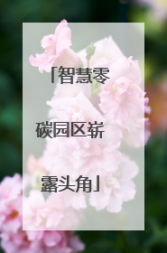 智慧零碳园区崭露头角