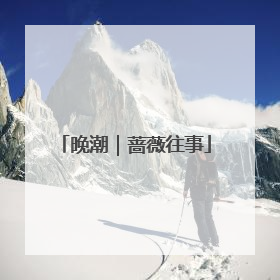 晚潮｜蔷薇往事
